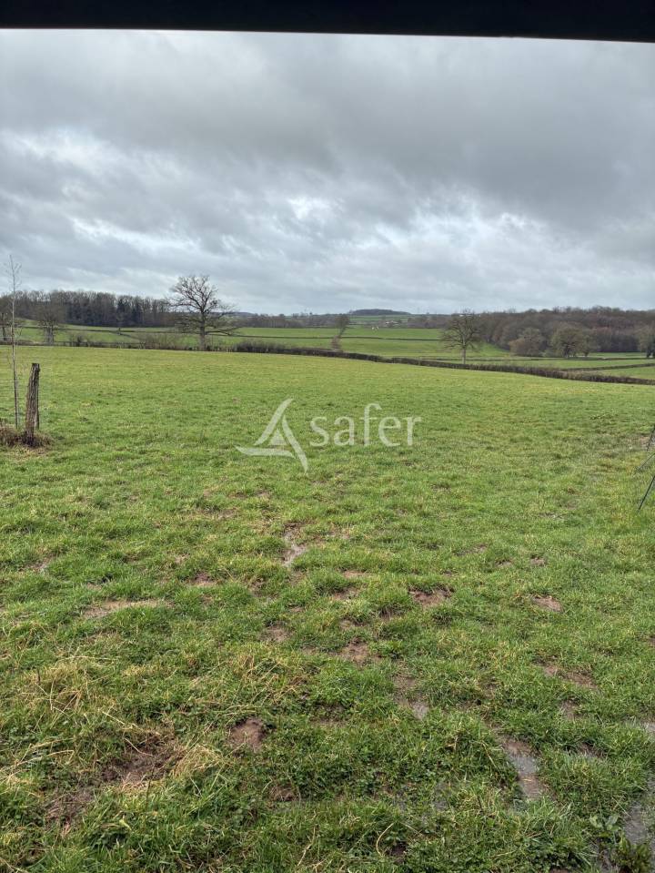 Hippisch vastgoed Koop Sa&ocirc;ne-et-Loire