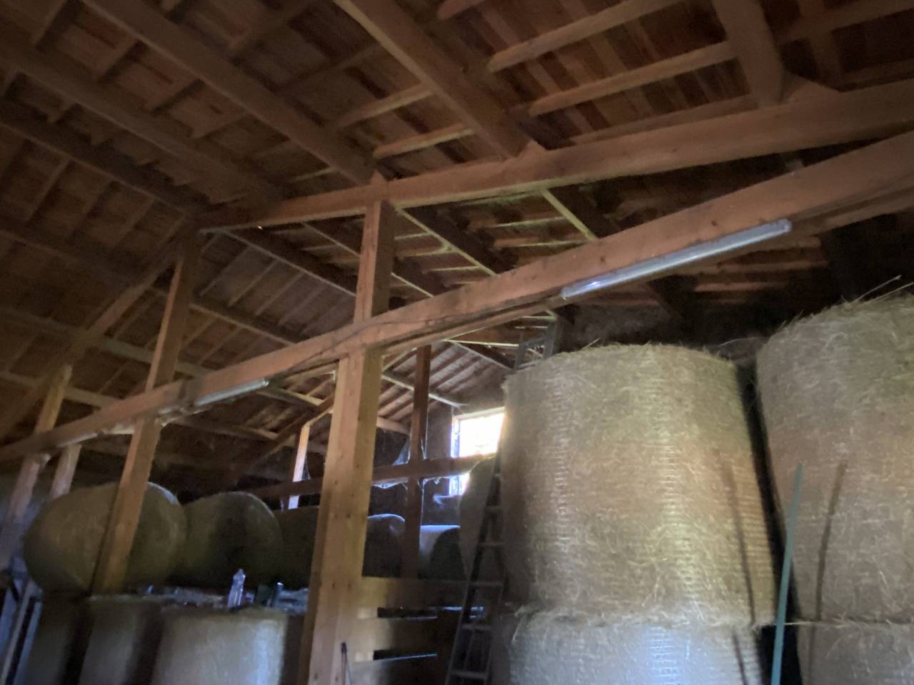 Paarden accommodatie Koop Puy-de-D&ocirc;me