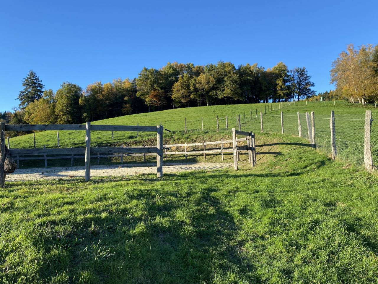 Paarden accommodatie Koop Puy-de-D&ocirc;me