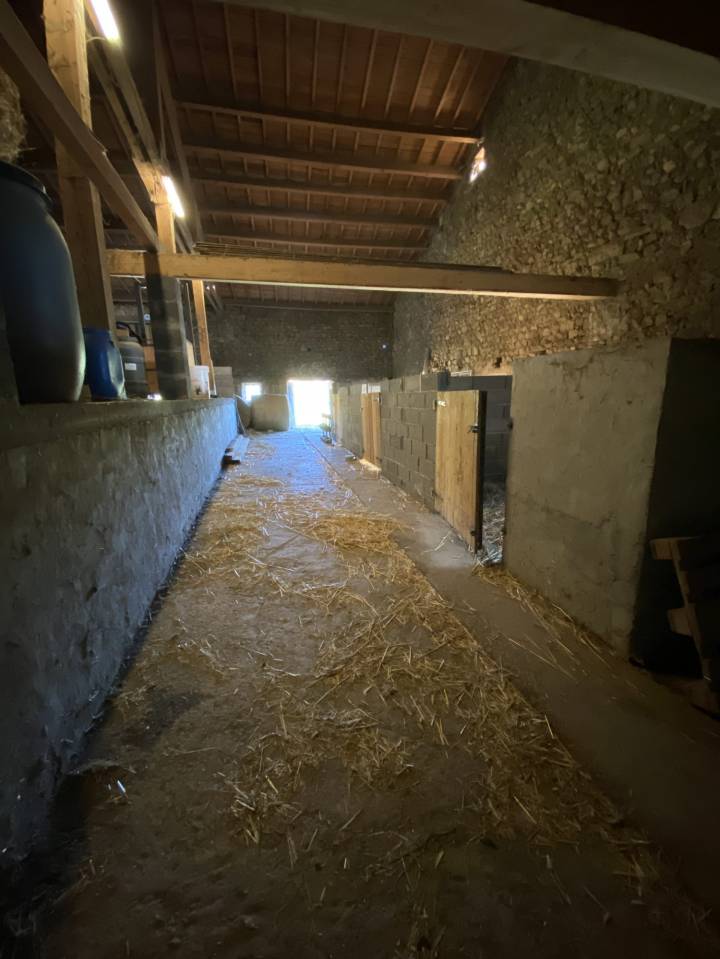 Paarden accommodatie Koop Puy-de-D&ocirc;me