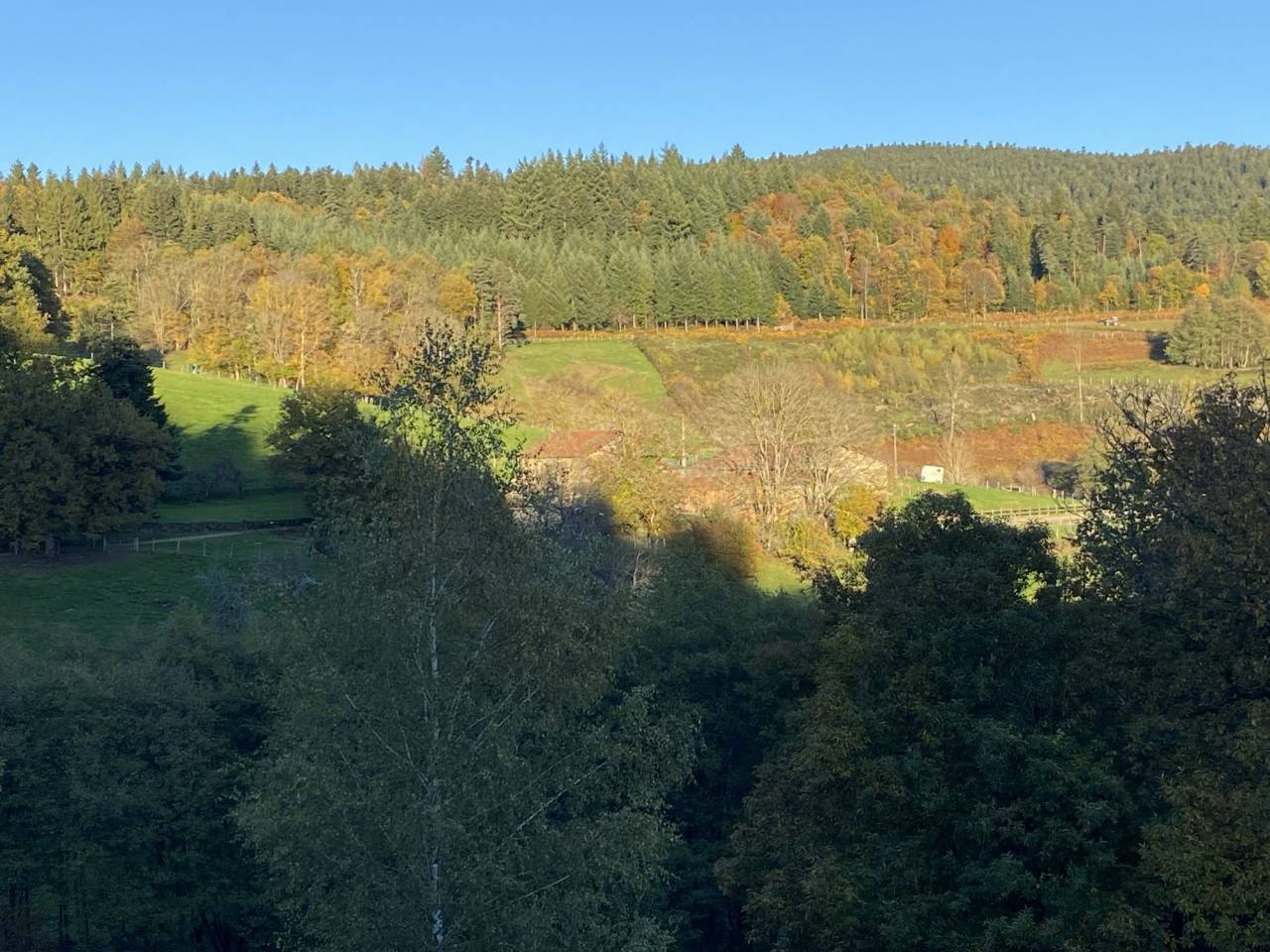 Paarden accommodatie Koop Puy-de-D&ocirc;me