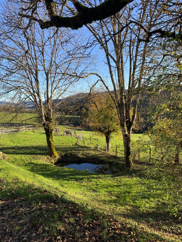 Paarden accommodatie Koop Puy-de-D&ocirc;me