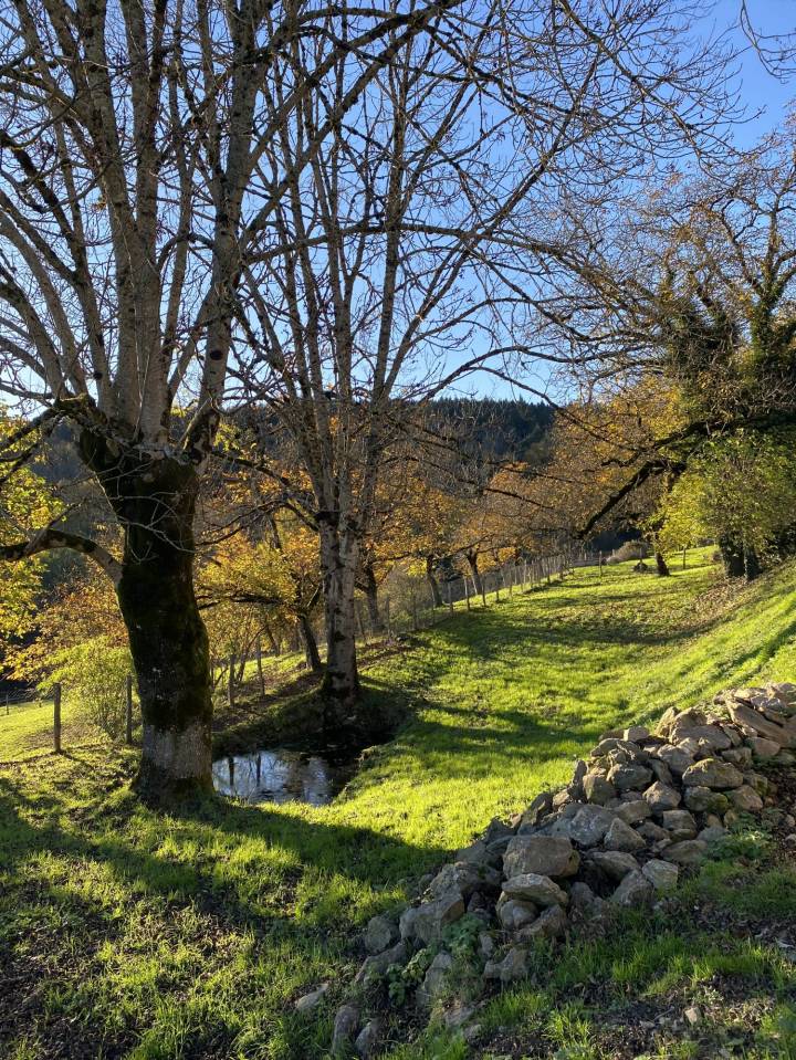 Paarden accommodatie Koop Puy-de-D&ocirc;me