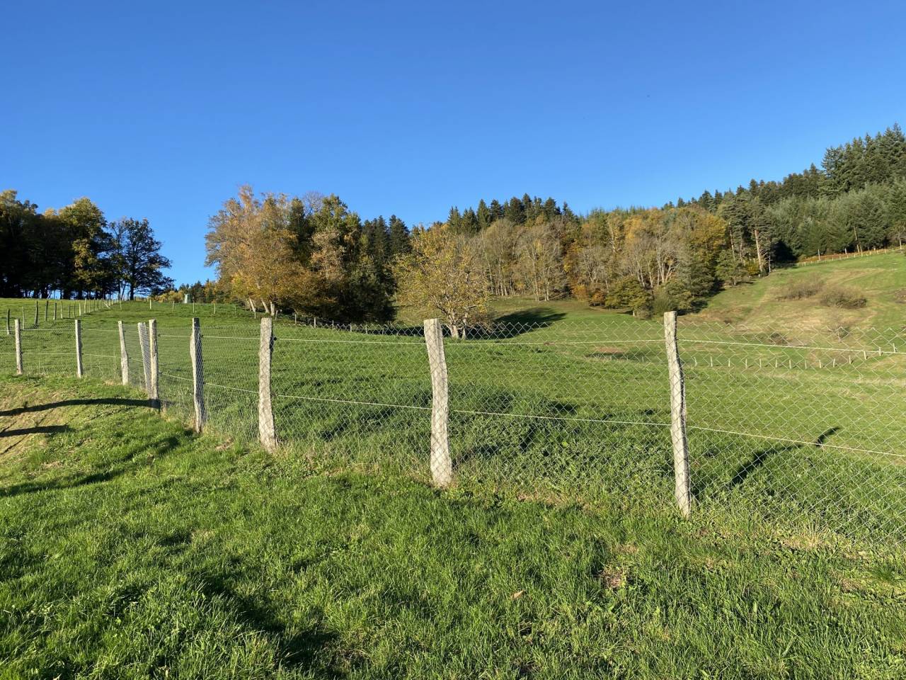 Paarden accommodatie Koop Puy-de-D&ocirc;me