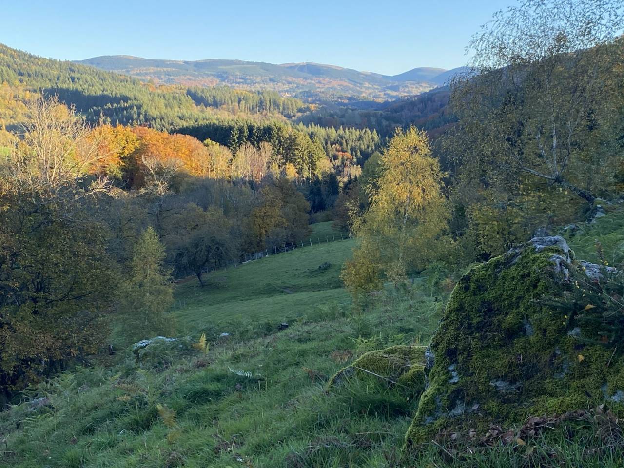 Paarden accommodatie Koop Puy-de-D&ocirc;me