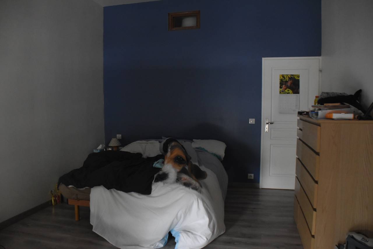 Hippisch vastgoed Koop Lot