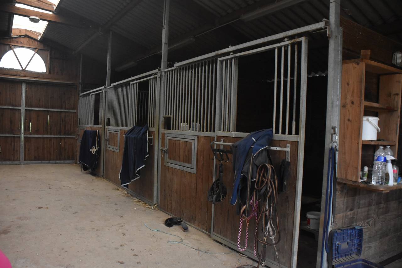 Hippisch vastgoed Koop Lot