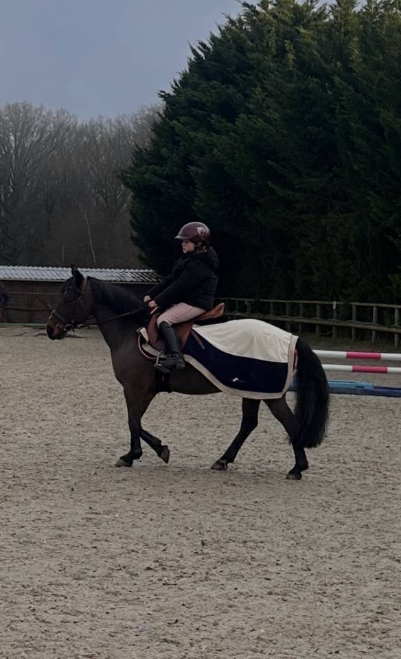 Ruin Connemara Te koop 2013 Zwart