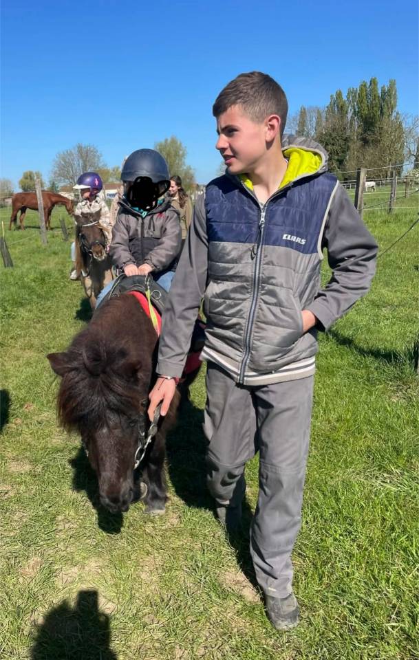 Merrie Shetland Te koop 2014 Zwart