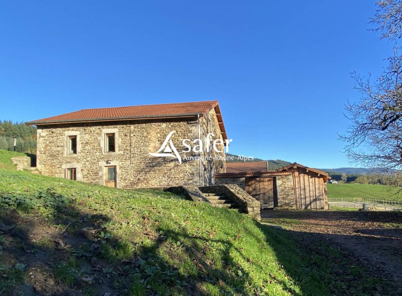 Varkens exploitatie Koop Puy-de-D&ocirc;me