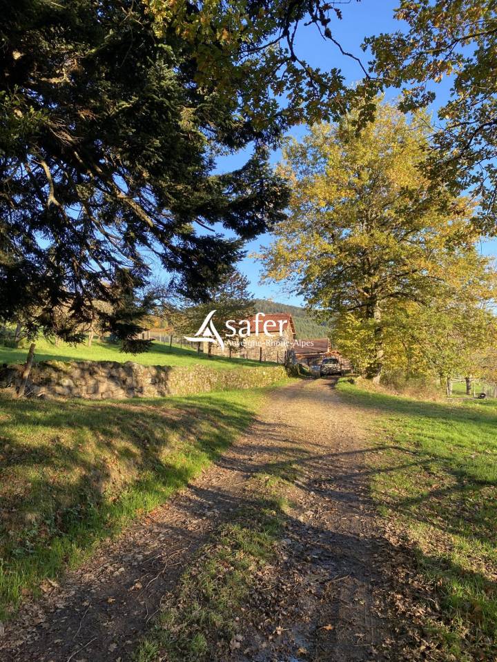 Varkens exploitatie Koop Puy-de-D&ocirc;me