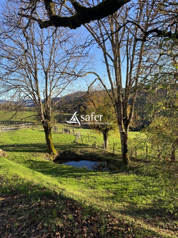 Varkens exploitatie Koop Puy-de-D&ocirc;me