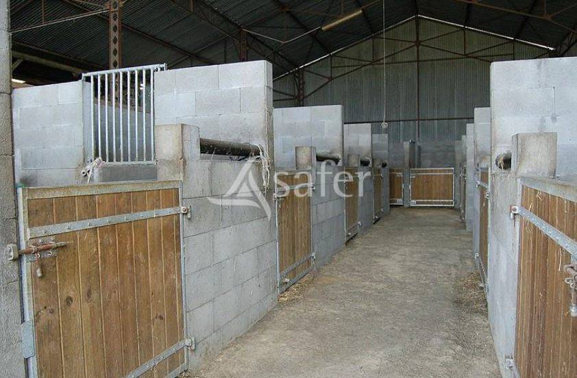 Hippisch vastgoed Koop Mayenne