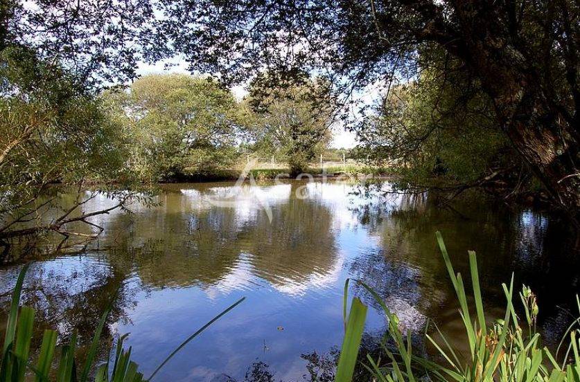 Hippisch vastgoed Koop Mayenne