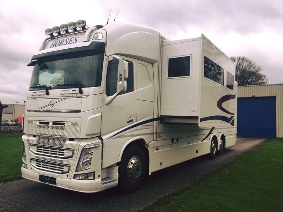 Zware paardenvrachtwagen (groot rijbewijs) Volvo  2014 Tweedehands