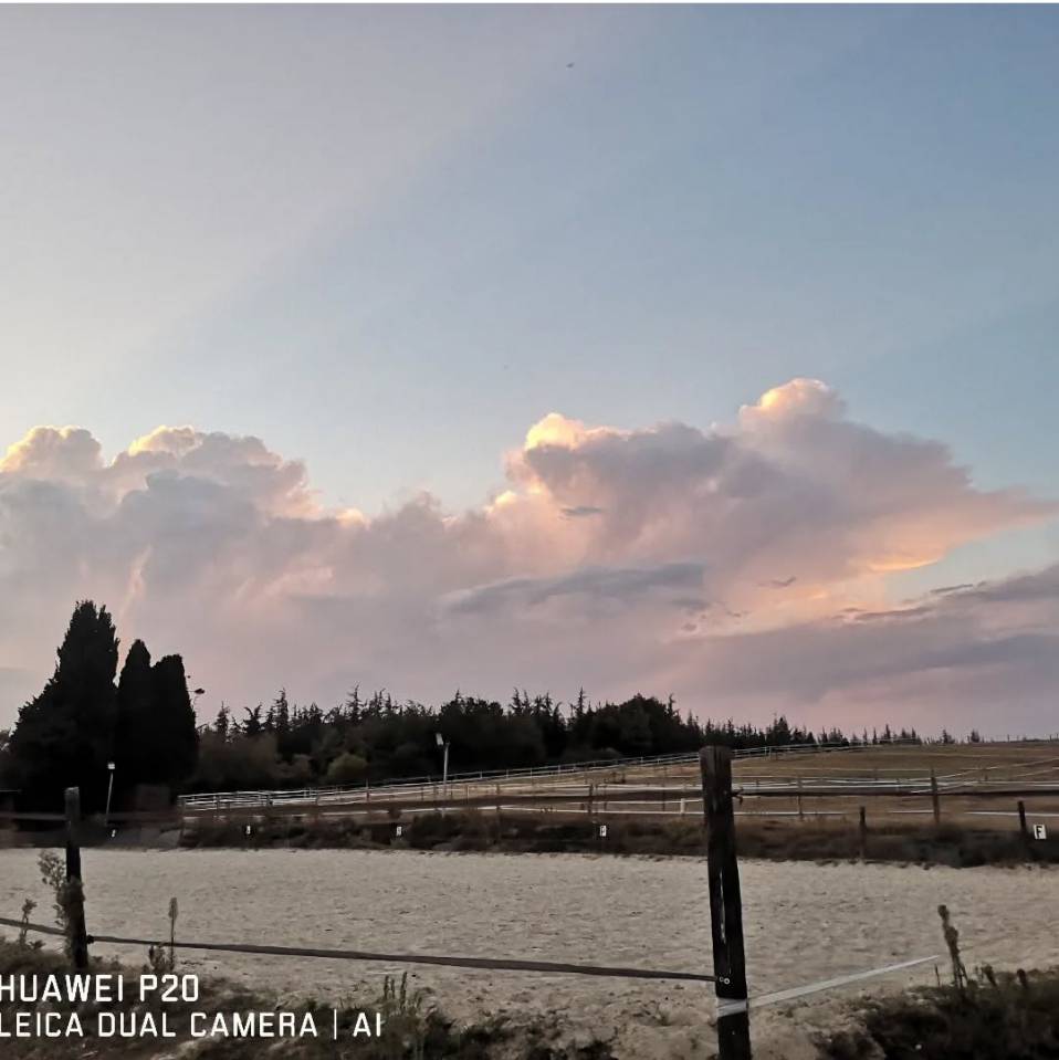 Winkel vastgoed Koop Haute-Garonne