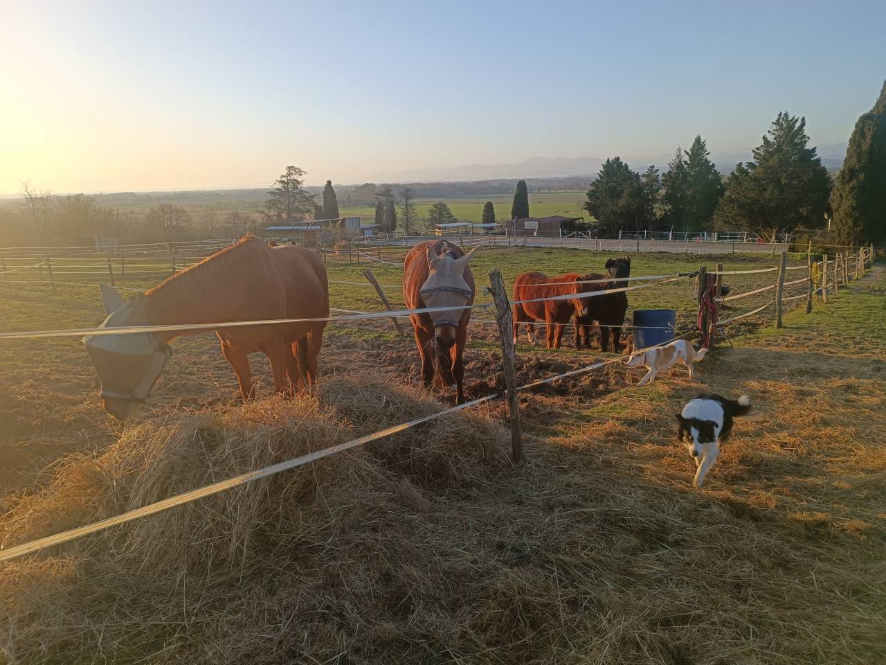 Winkel vastgoed Koop Haute-Garonne