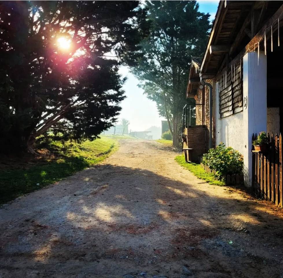 Winkel vastgoed Koop Haute-Garonne