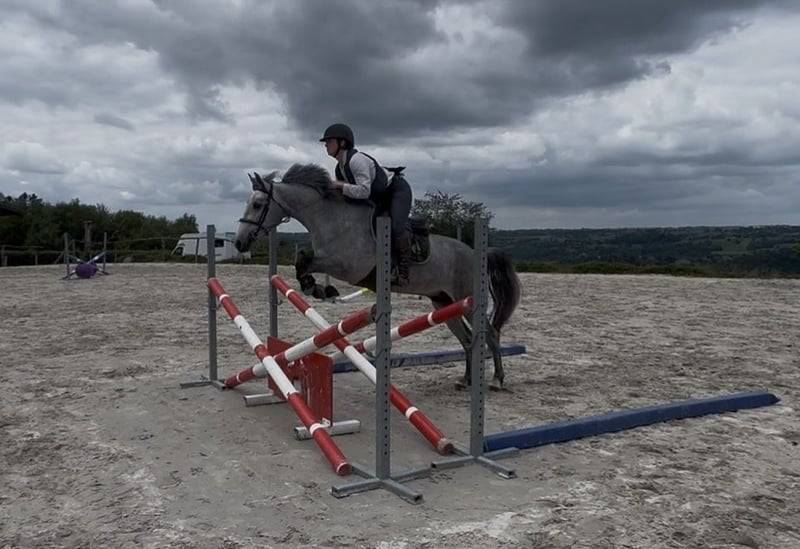 Ruin Connemara Te koop 2022 Schimmel ,  Killaloe Buachaill Mor