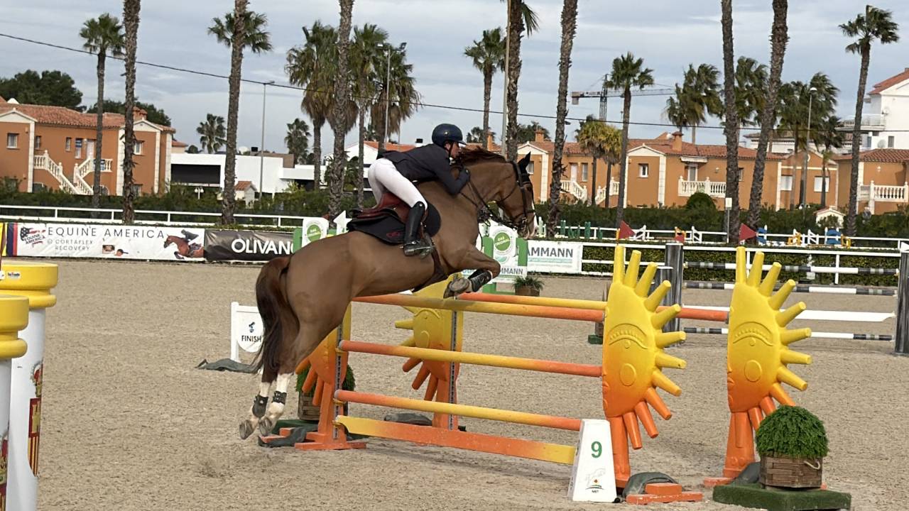 Ruin Selle Fran&ccedil;ais Te koop 2017 Vos ,  CANDY DE NANTUEL