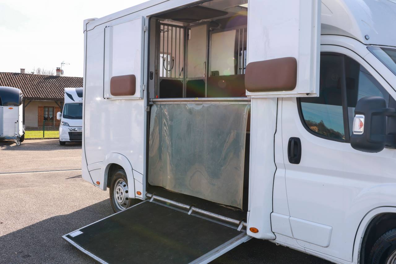 Kleine paardenvrachtwagen (B rijbewijs) Peugeot BOXER 2021 Tweedehands