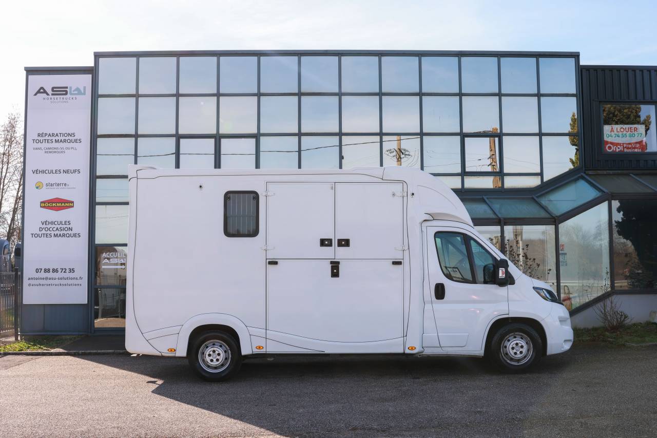 Kleine paardenvrachtwagen (B rijbewijs) Peugeot BOXER 2021 Tweedehands