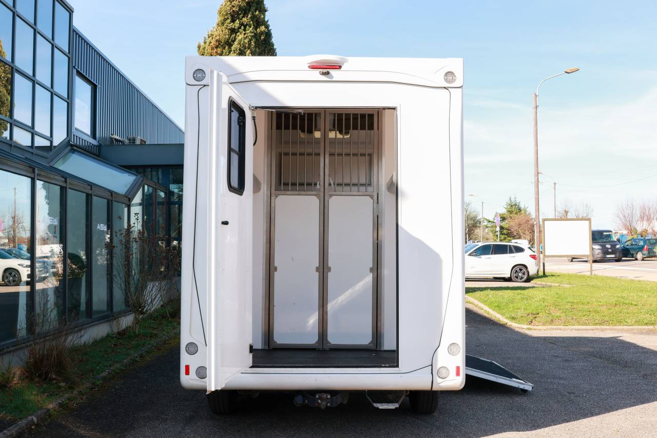 Kleine paardenvrachtwagen (B rijbewijs) Peugeot BOXER 2021 Tweedehands