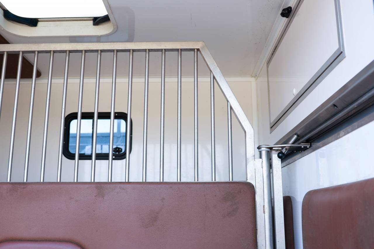 Kleine paardenvrachtwagen (B rijbewijs) Peugeot BOXER 2021 Tweedehands