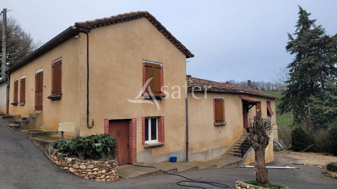 Schapen exploitatie Koop tarn