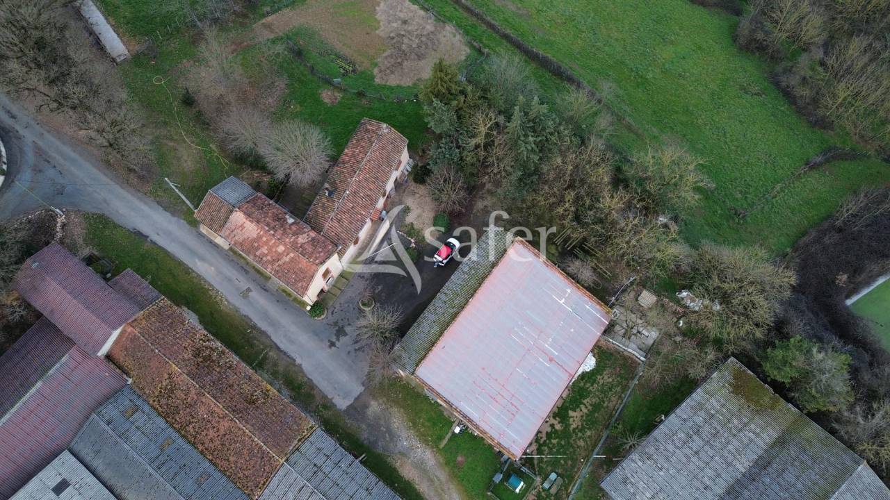 Schapen exploitatie Koop tarn