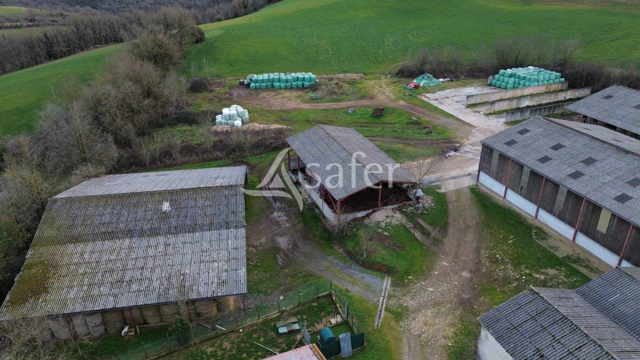 Schapen exploitatie Koop tarn