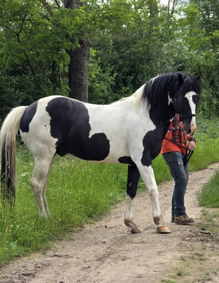 BLACK AND VHITEDEVAL - Bekend ras 2011