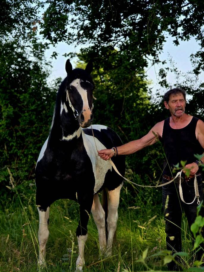 BLACK AND VHITEDEVAL - Bekend ras 2011