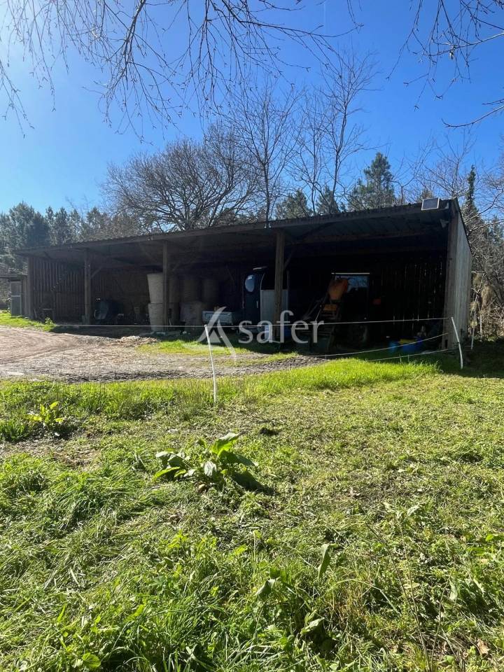 Ander plattelands vastgoed Koop Gironde