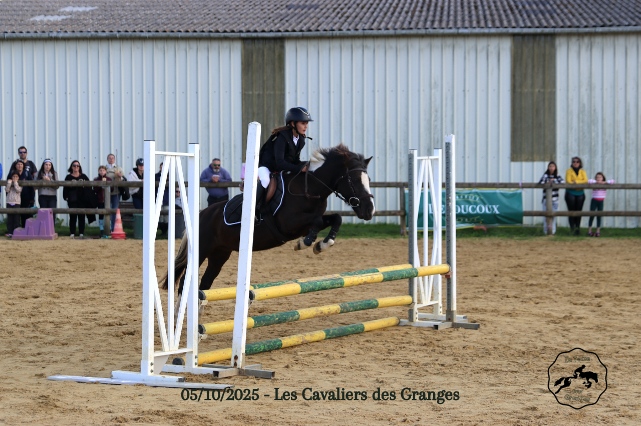 Ruin Welsh Pony (Section B) Te koop 2020 Bruin / Bai ,  FLASH