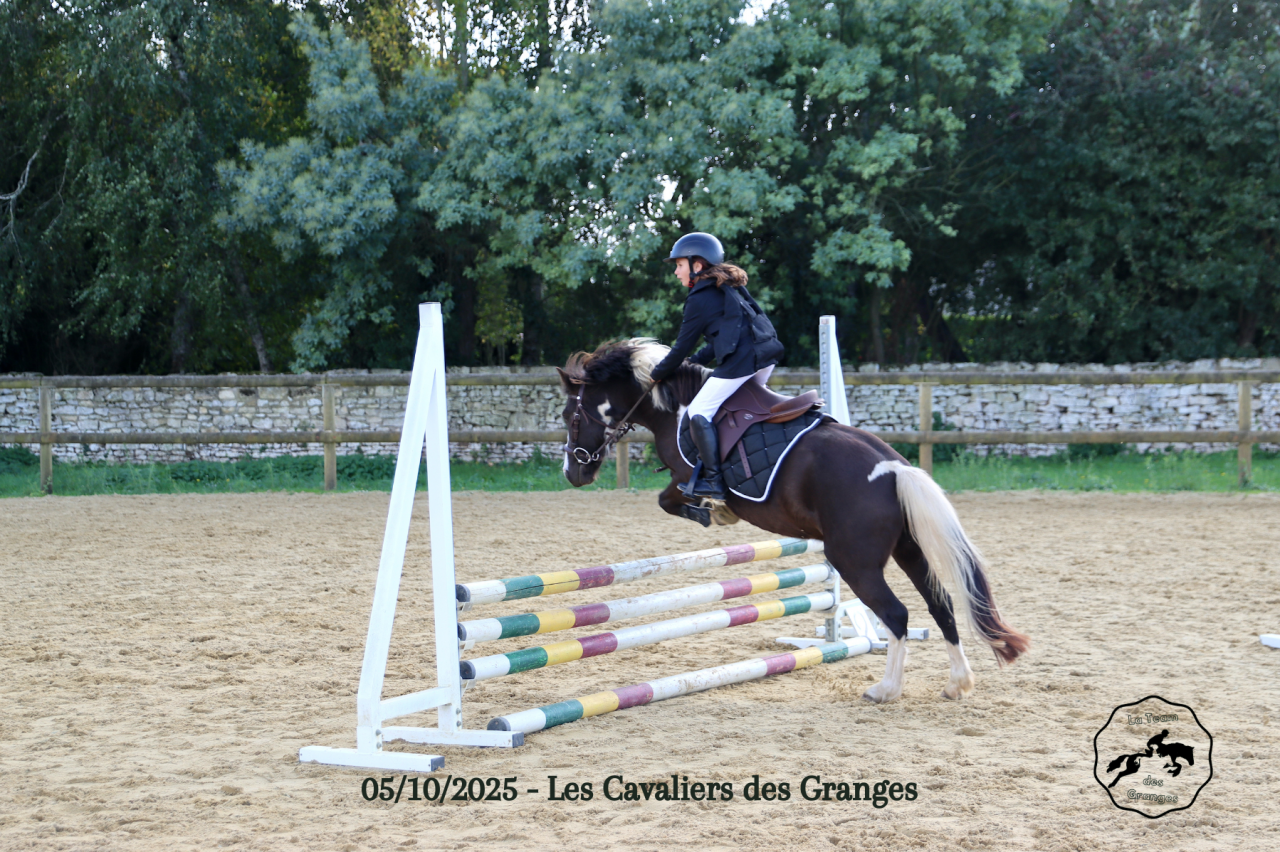 Ruin Welsh Pony (Section B) Te koop 2020 Bruin / Bai ,  FLASH