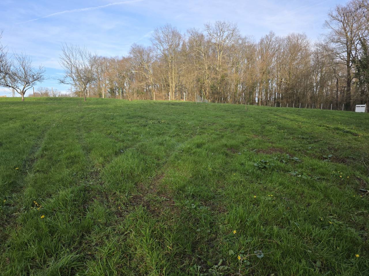 Hippisch vastgoed Koop Charente-Maritime
