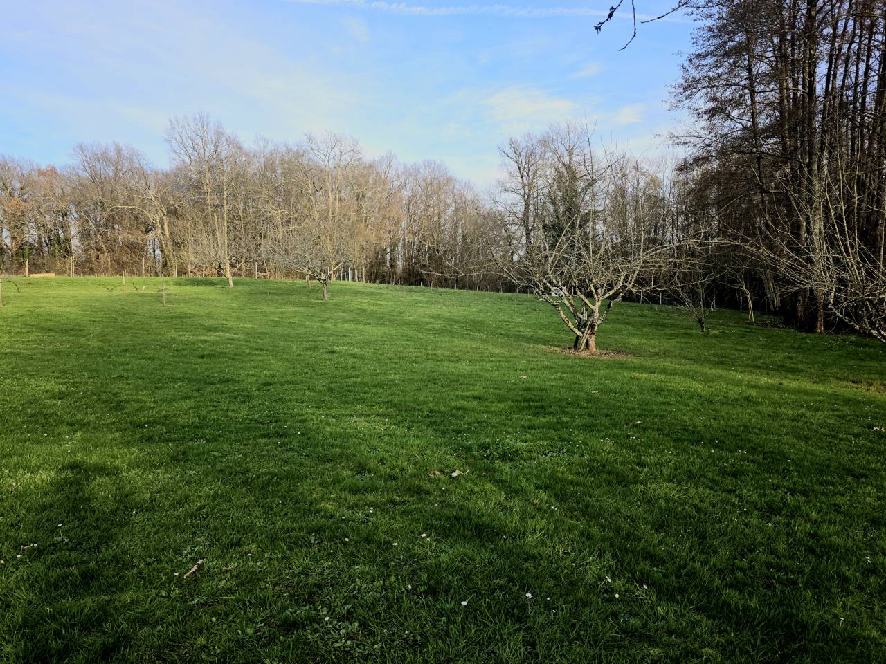 Hippisch vastgoed Koop Charente-Maritime