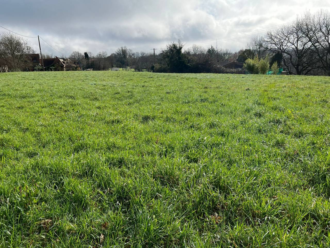 Hippisch vastgoed Koop Dordogne