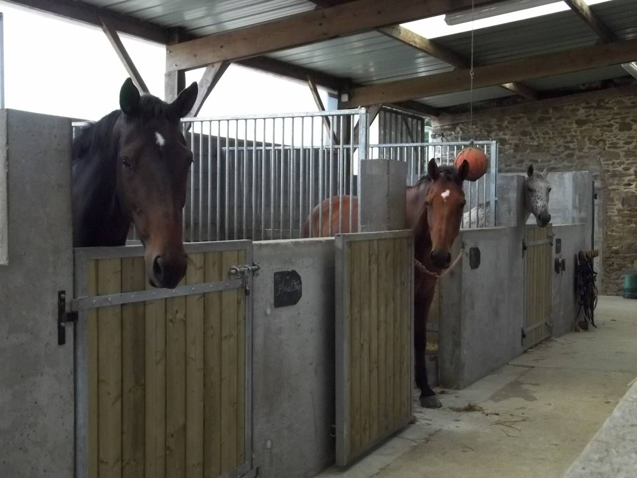 Eigenaren stal Koop Ile-et-Vilaine