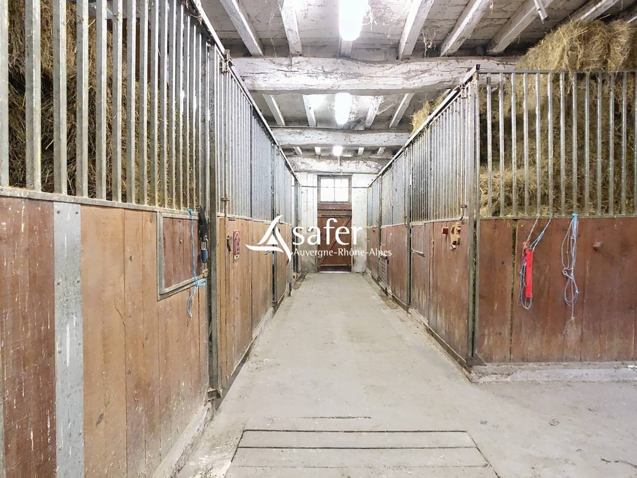 Hippisch vastgoed Koop Rh&ocirc;ne