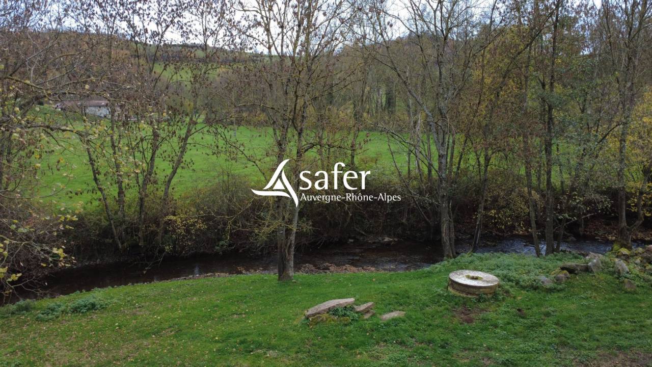 Hippisch vastgoed Koop Rh&ocirc;ne