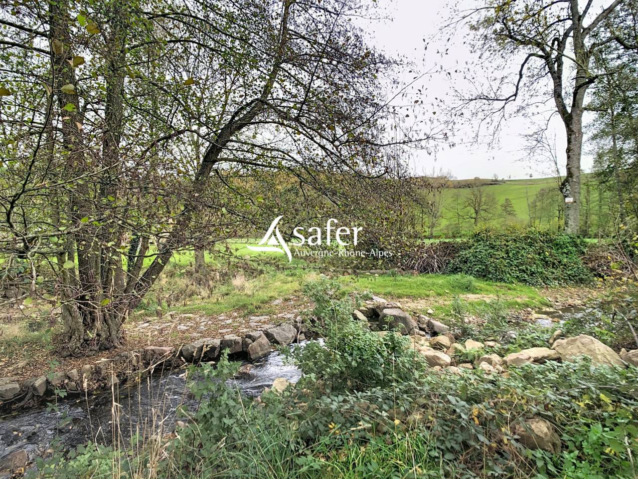 Hippisch vastgoed Koop Rh&ocirc;ne