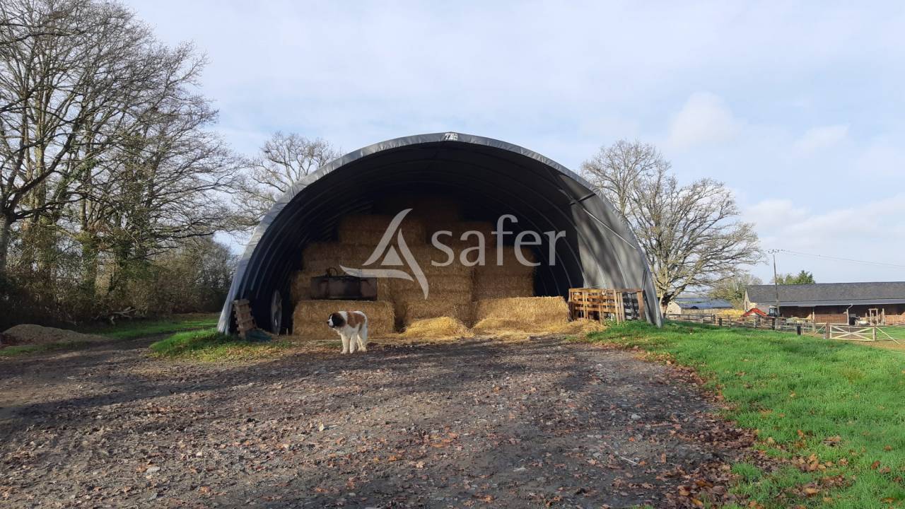 Hippisch vastgoed Koop Mayenne