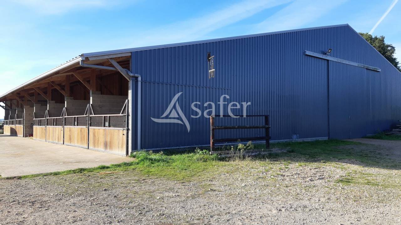 Hippisch vastgoed Koop Mayenne