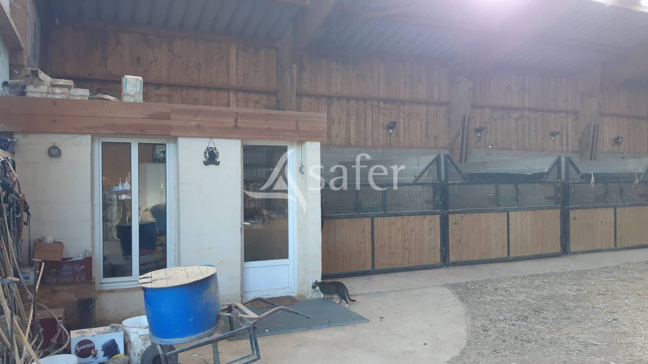 Hippisch vastgoed Koop Mayenne