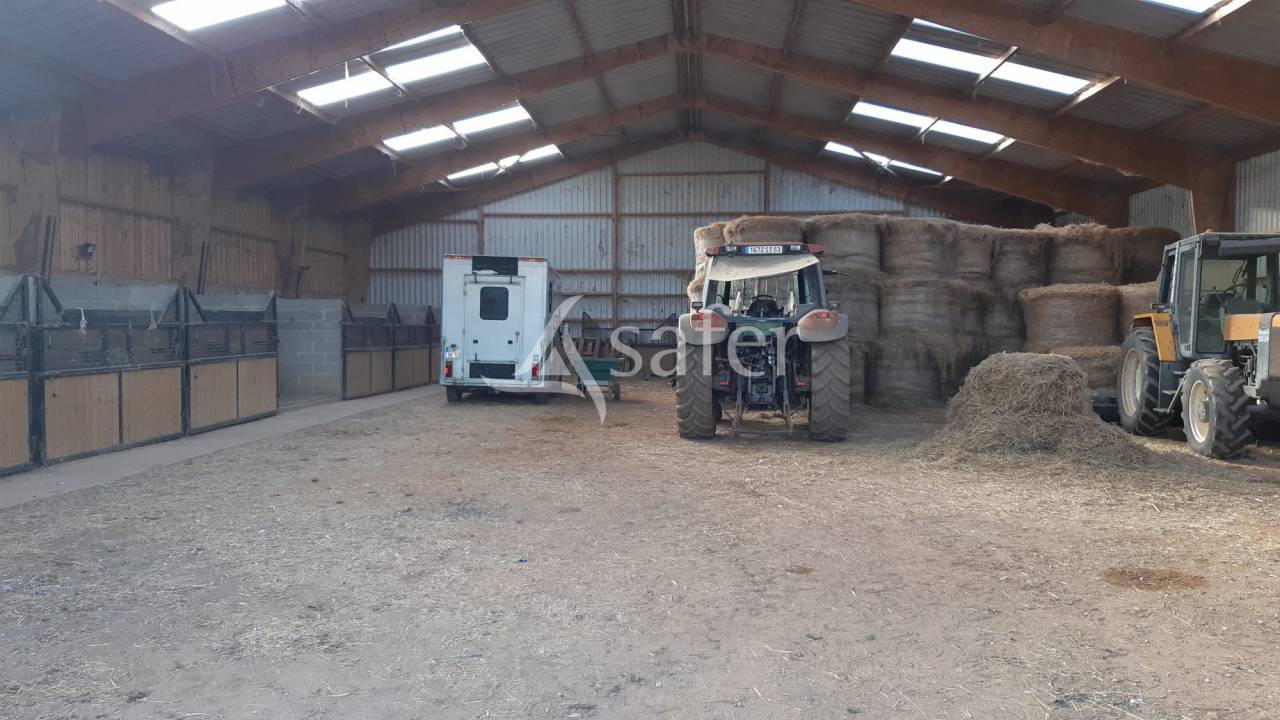 Hippisch vastgoed Koop Mayenne