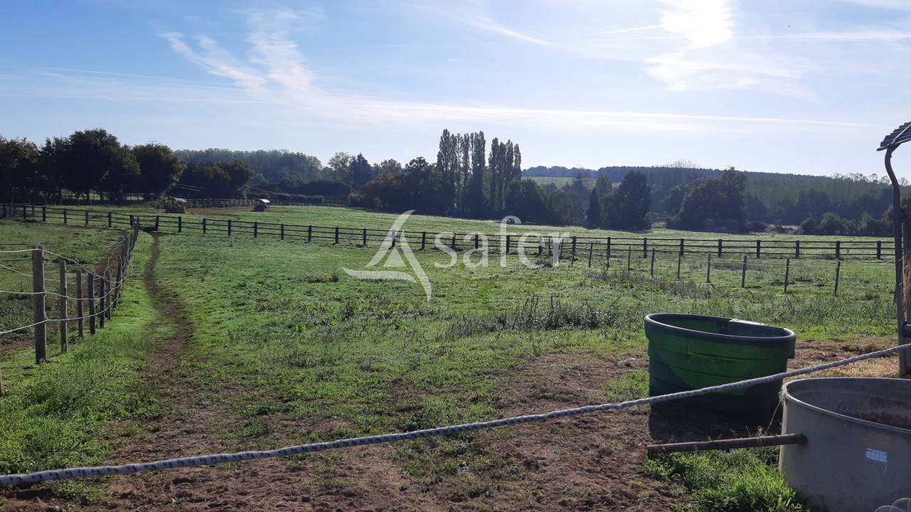 Hippisch vastgoed Koop Mayenne