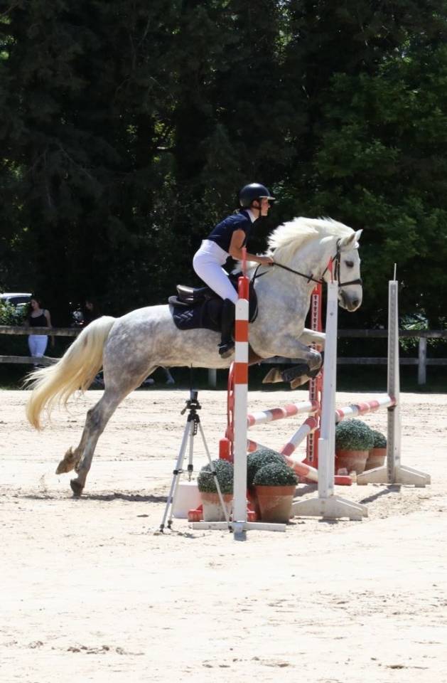 Ruin Connemara Te koop 2018 Schimmel