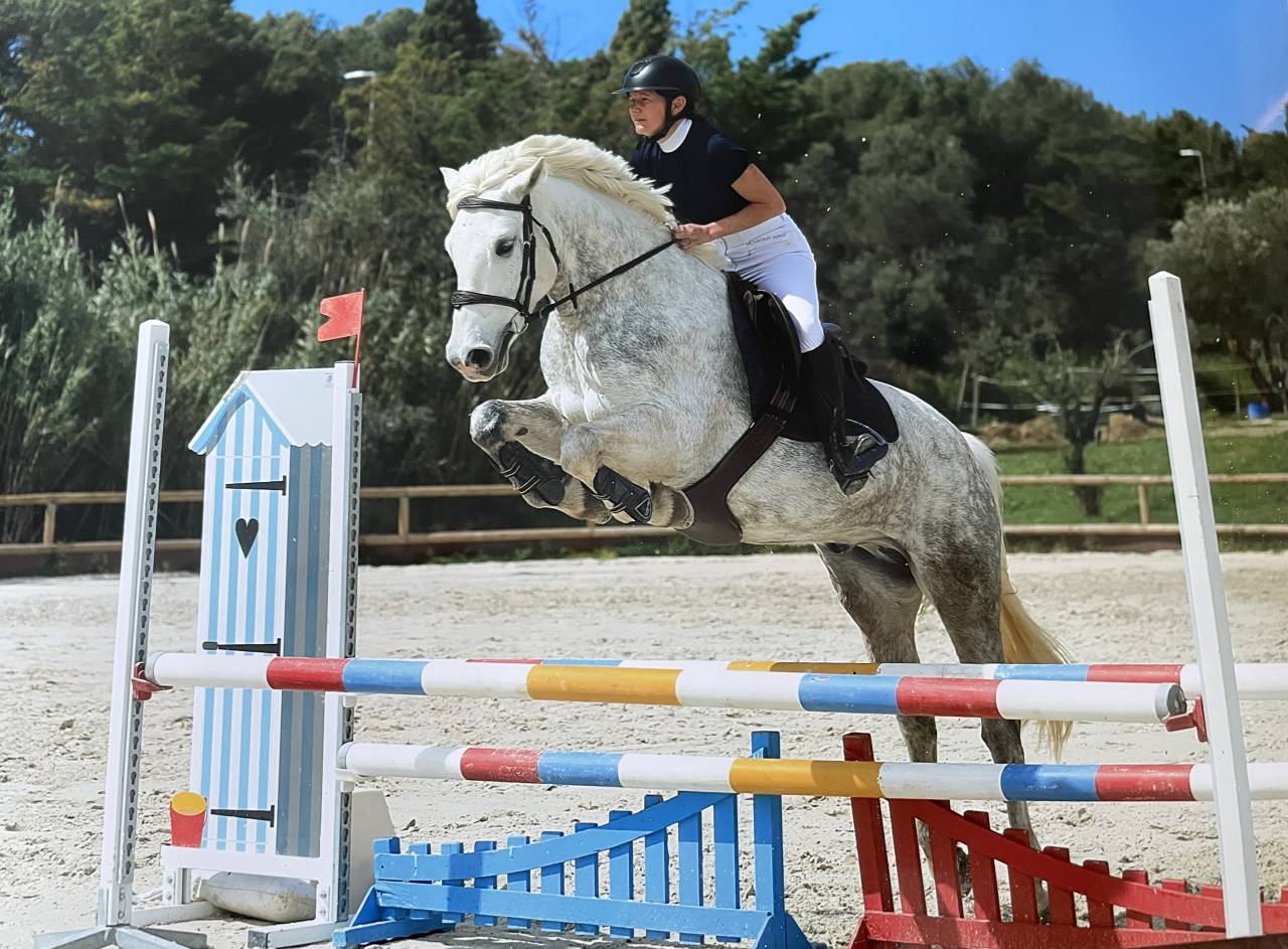 Ruin Connemara Te koop 2018 Schimmel